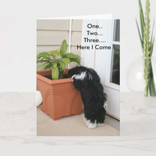 Een twee drie Kaart (Voorkant)