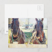 Een twee paarden Amish team Briefkaart (Voorkant / Achterkant)