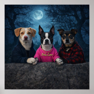 "Een Twilight Driehoek" Poster