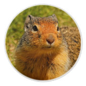Een Twitchy-nosed Columbian Ground Squirrel Keramische Knop (Voorkant)