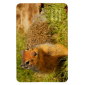 Een Twitchy-nosed Columbian Ground Squirrel Magneet (Verticaal)
