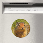 Een Twitchy-nosed Columbian Ground Squirrel Magneet (Insitu (Vaatwasser))