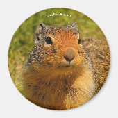 Een Twitchy-nosed Columbian Ground Squirrel Magneet (Voorkant)