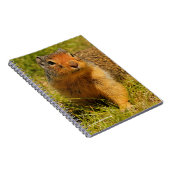 Een Twitchy-nosed Columbian Ground Squirrel Notitieboek (Rechterzijde)