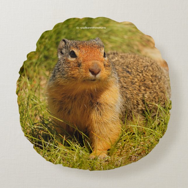 Een Twitchy-nosed Columbian Ground Squirrel Rond Kussen (Voorkant)