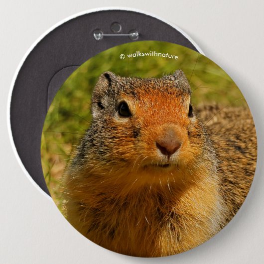 Een Twitchy-nosed Columbian Ground Squirrel Ronde Button 6,0 Cm (Voorkant /achterkant)