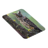 Een uil met lange oren op een boomtak magneet (Rechterzijde)