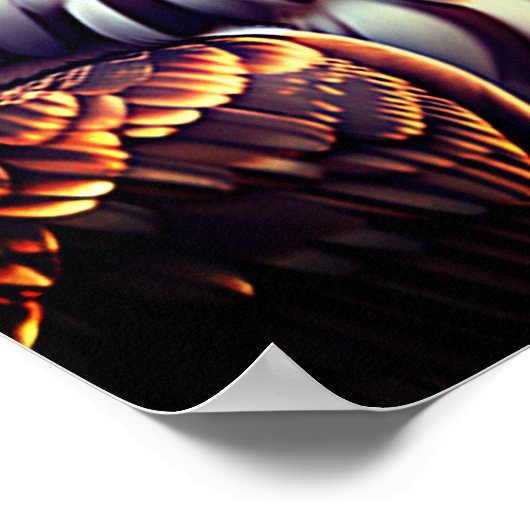 Een uil portret poster (Hoek)