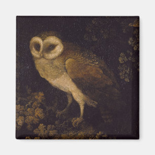 Een uil van Moses Haughton de Oudere Magneet