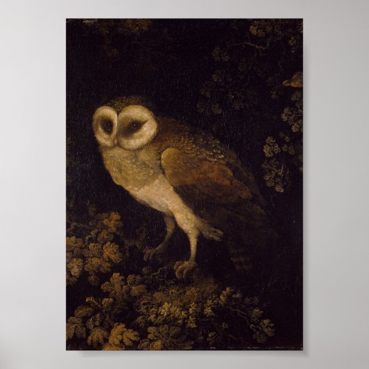 Een uil van Moses Haughton de Oudere Poster (Voorkant)
