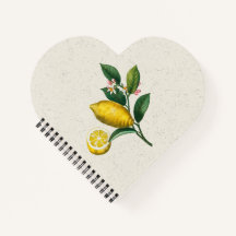 Een uitgebreide versie van Lemon