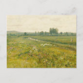 Een uitgestrekt weidelandschap met ganzen briefkaart (Voorkant)