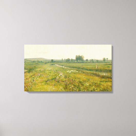 Een uitgestrekt weidelandschap met ganzen canvas afdruk (Voorkant)