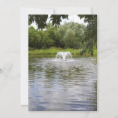 Een uitnodiging voor alle doeleinden voor uw evene (Voorkant)