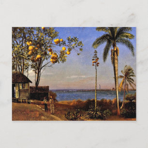 Een Uitzicht in de Bahama's, Albert Bierstadt schi Briefkaart