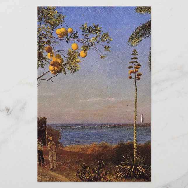Een Uitzicht in de Bahama's door Bierstadt Albert. (Voorkant)
