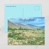 Een uitzicht op Newfoundland Briefkaart (Voorkant / Achterkant)