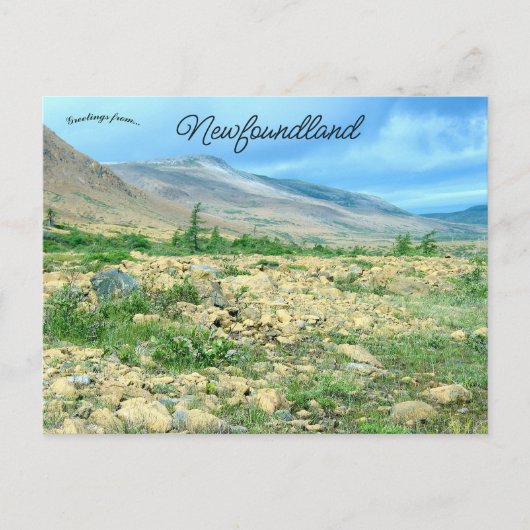 Een uitzicht op Newfoundland Briefkaart (Voorkant)
