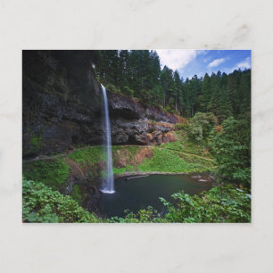 Een uitzicht op South Falls in Silver Falls State Briefkaart