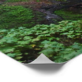 Een uitzicht op South Falls in Silver Falls State  Poster (Hoek)