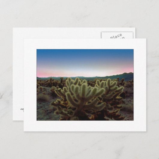 Een "uitzicht Pointy " Briefkaart (Voorkant / Achterkant)