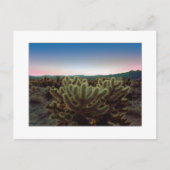 Een "uitzicht Pointy " Briefkaart (Voorkant)