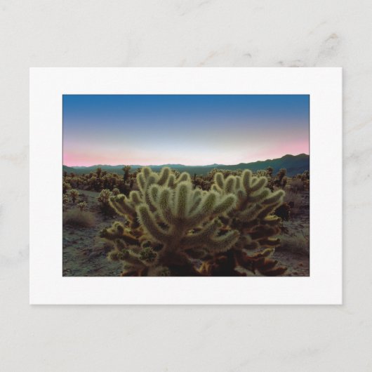 Een "uitzicht Pointy " Briefkaart (Voorkant)