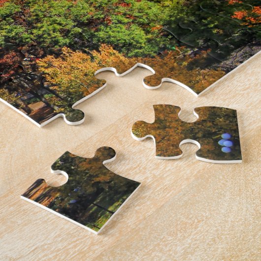 Een uitzicht uit het bovenstaande: herfst in Union Legpuzzel (Zijkant)