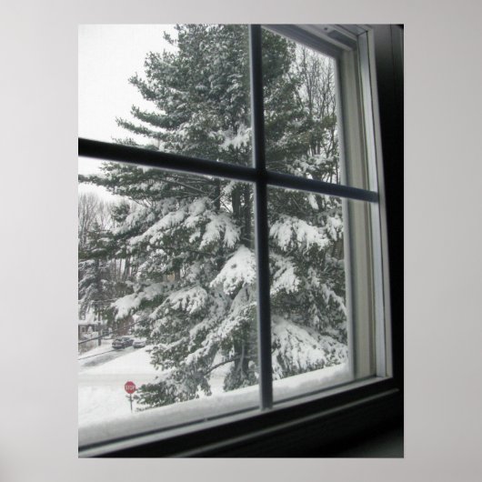 Een Uitzicht uit het raam van de sneeuwbedekking E Poster (Voorkant)