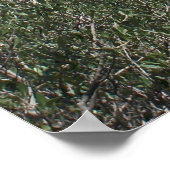 Een uitzicht van Acropolis uit Filopappou Hill Poster (Hoek)