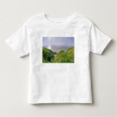 Een Uitzicht van Ailsa Craig en het eiland Arran,  Kinder Shirts (Voorkant)