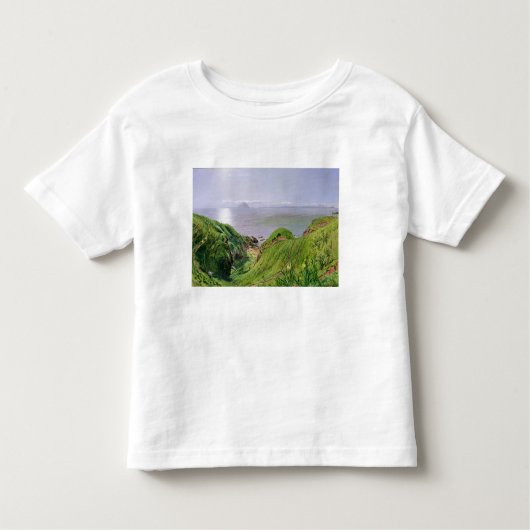 Een Uitzicht van Ailsa Craig en het eiland Arran,  Kinder Shirts (Voorkant)