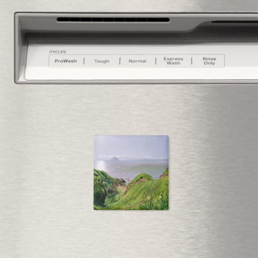 Een Uitzicht van Ailsa Craig en het eiland Arran,  Magneet (Insitu (Vaatwasser))