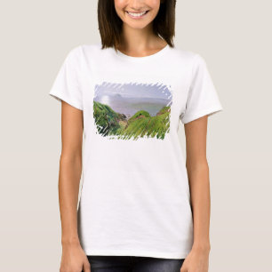 Een Uitzicht van Ailsa Craig en het eiland Arran, T-shirt