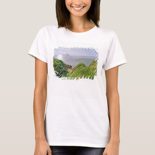 Een Uitzicht van Ailsa Craig en het eiland Arran,  T-shirt (Voorkant)