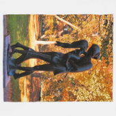Een uitzicht van boven: Herfst in Central Park 01 Fleece Deken (Voorkant (Horizontaal))