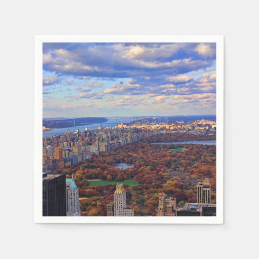 Een uitzicht van boven: Herfst in Central Park 01 Servetten (Voorkant)