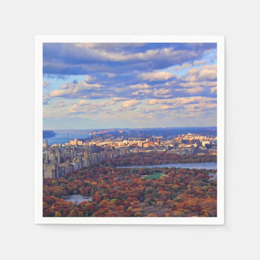 Een uitzicht van boven: Herfst in Central Park 01 Servetten (Voorkant)