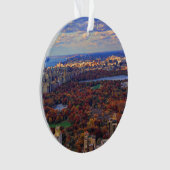 Een uitzicht van bovenaf: herfst in Central Park 0 Ornament (voorkant)