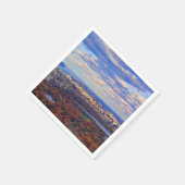 Een uitzicht van bovenaf: herfst in Central Park 0 Servetten (Hoek)