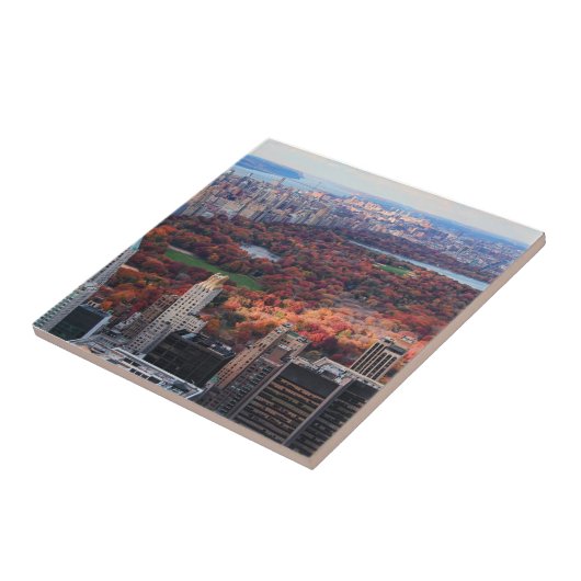 Een uitzicht van bovenaf: herfst in Central Park 0 Tegeltje (Zijkant)