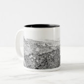 Een Uitzicht van de inname van Quebec Tweekleurige Koffiemok (Voorkant links)