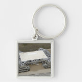 Een uitzicht van de kruipwagen sleutelhanger (Voorkant)