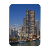 Een uitzicht van de marine van Chicago Magneet (Verticaal)