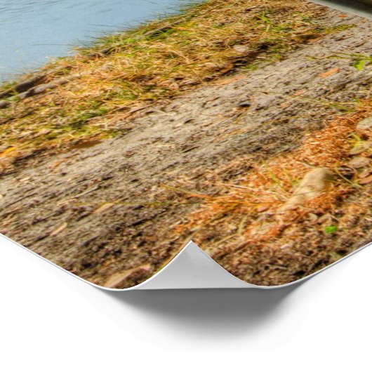 Een Uitzicht van de Schijf Golfer Poster (Hoek)