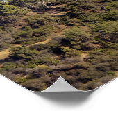 Een uitzicht van een wandelspoor in Griffith Park Poster (Hoek)