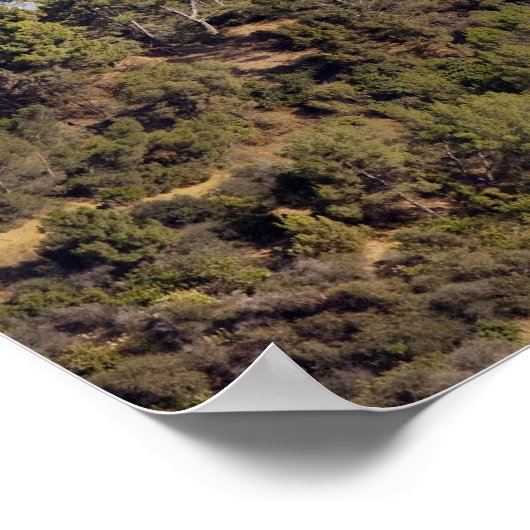 Een uitzicht van een wandelspoor in Griffith Park Poster (Hoek)