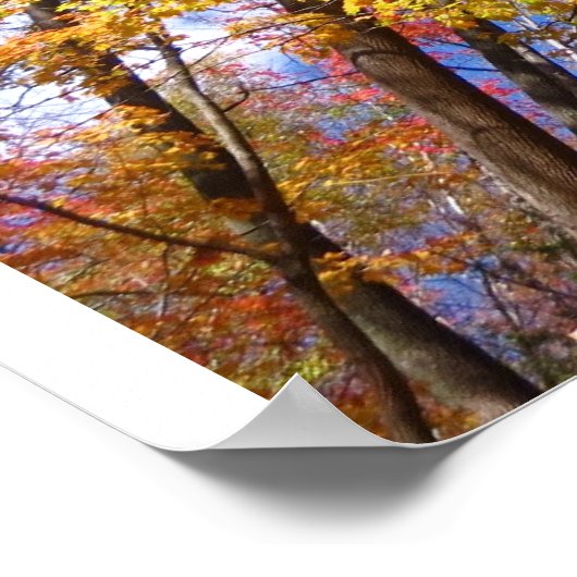 Een Uitzicht van Herfst Poster (Hoek)