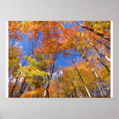 Een Uitzicht van Herfst Poster (Voorkant)