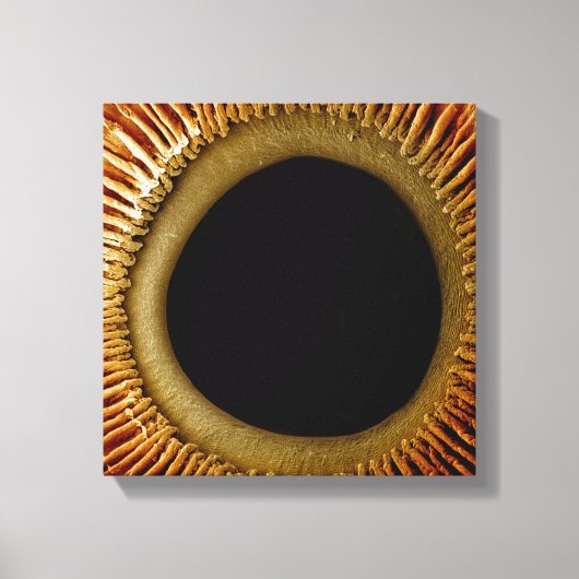 Een uitzicht van het binnenoppervlak van de iris canvas afdruk (Voorkant)